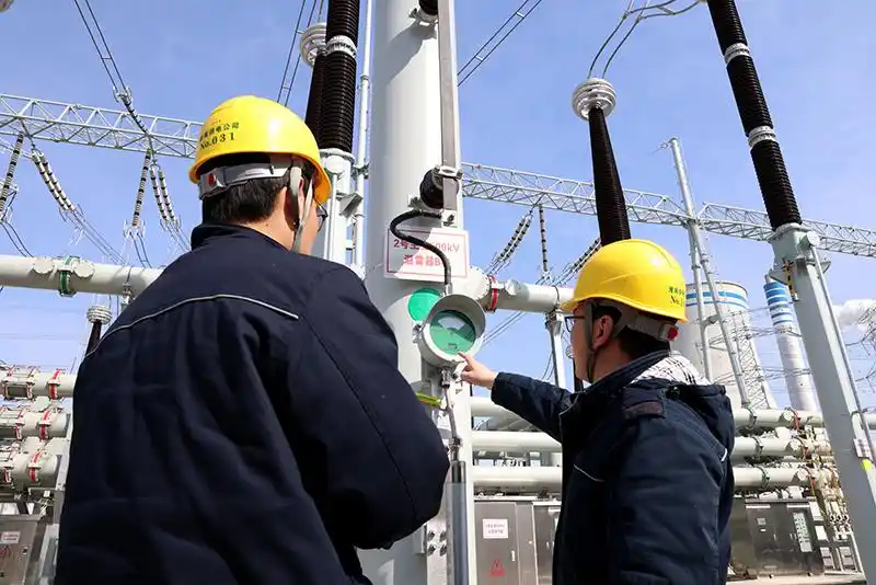 抄录避雷器动作次数及泄漏电流数值。国网淮南市供电公司供图.jpg